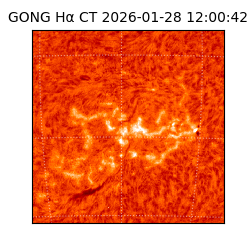 gong - 2026-01-28T12:00:42