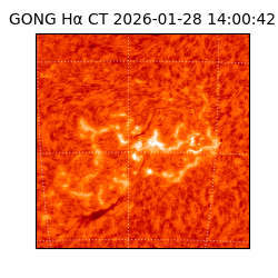 gong - 2026-01-28T14:00:42