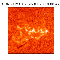 gong - 2026-01-28T18:00:42