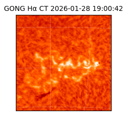 gong - 2026-01-28T19:00:42