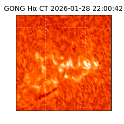 gong - 2026-01-28T22:00:42