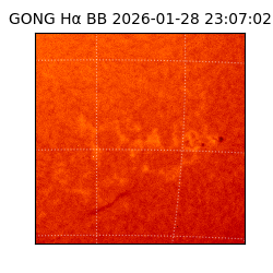 gong - 2026-01-28T23:07:02