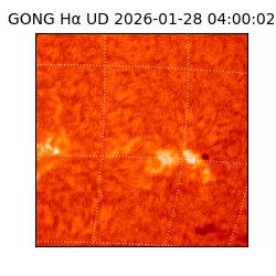 gong - 2026-01-28T04:00:02