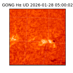 gong - 2026-01-28T05:00:02