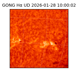 gong - 2026-01-28T10:00:02