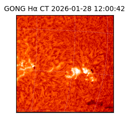 gong - 2026-01-28T12:00:42