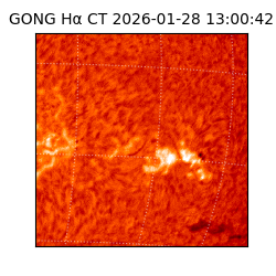 gong - 2026-01-28T13:00:42