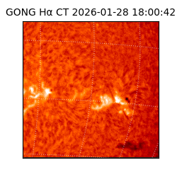 gong - 2026-01-28T18:00:42