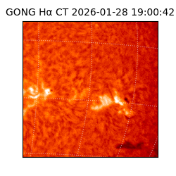 gong - 2026-01-28T19:00:42