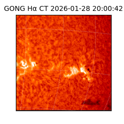 gong - 2026-01-28T20:00:42