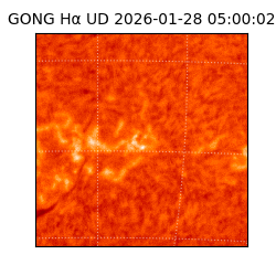 gong - 2026-01-28T05:00:02