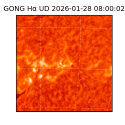 gong - 2026-01-28T08:00:02