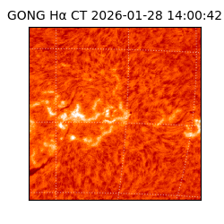 gong - 2026-01-28T14:00:42