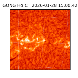 gong - 2026-01-28T15:00:42