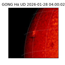 gong - 2026-01-28T04:00:02