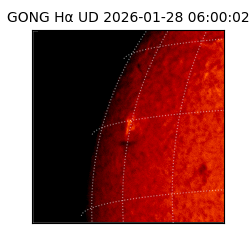gong - 2026-01-28T06:00:02