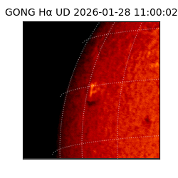 gong - 2026-01-28T11:00:02