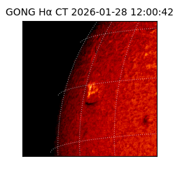 gong - 2026-01-28T12:00:42