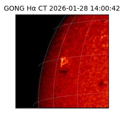 gong - 2026-01-28T14:00:42