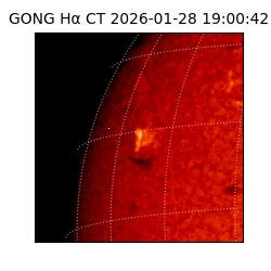 gong - 2026-01-28T19:00:42