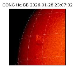 gong - 2026-01-28T23:07:02