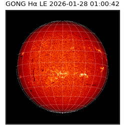 gong - 2026-01-28T01:00:42