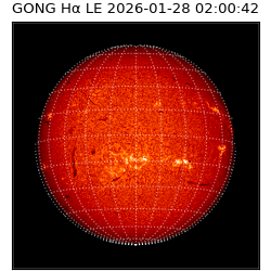 gong - 2026-01-28T02:00:42