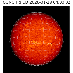 gong - 2026-01-28T04:00:02