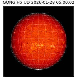 gong - 2026-01-28T05:00:02