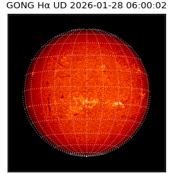 gong - 2026-01-28T06:00:02