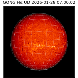 gong - 2026-01-28T07:00:02