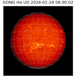 gong - 2026-01-28T08:00:02