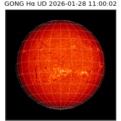 gong - 2026-01-28T11:00:02