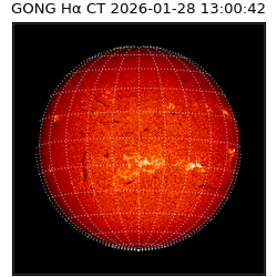 gong - 2026-01-28T13:00:42