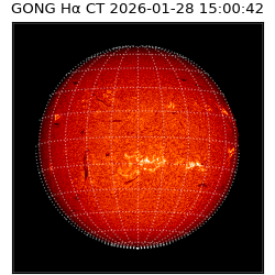 gong - 2026-01-28T15:00:42