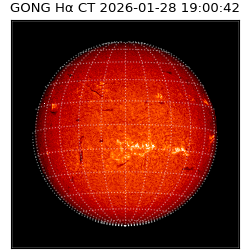 gong - 2026-01-28T19:00:42