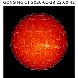 gong - 2026-01-28T22:00:42