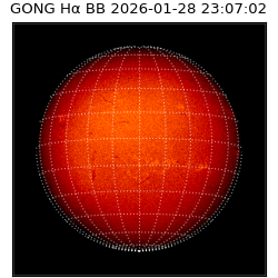 gong - 2026-01-28T23:07:02