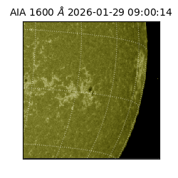 saia - 2026-01-29T09:00:14.126000