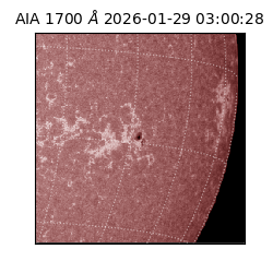 saia - 2026-01-29T03:00:28.718000