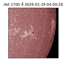 saia - 2026-01-29T04:00:28.720000