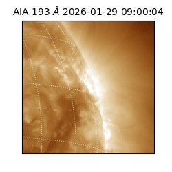 saia - 2026-01-29T09:00:04.843000