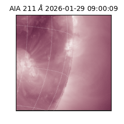 saia - 2026-01-29T09:00:09.626000
