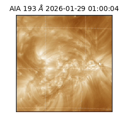 saia - 2026-01-29T01:00:04.843000