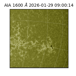 saia - 2026-01-29T09:00:14.126000