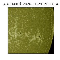 saia - 2026-01-29T19:00:14.126000