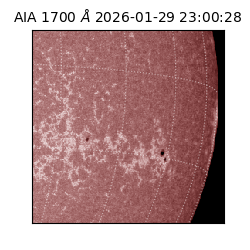 saia - 2026-01-29T23:00:28.719000