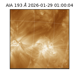 saia - 2026-01-29T01:00:04.843000