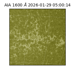 saia - 2026-01-29T05:00:14.126000
