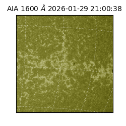 saia - 2026-01-29T21:00:38.131000
